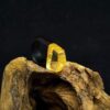 Wood resin ring